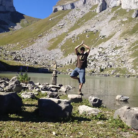 Leysin Lodge Appartement