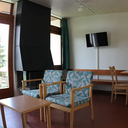 Leysin Lodge アパート