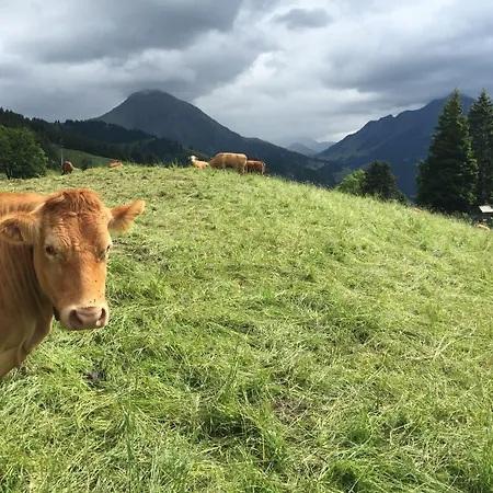 Apartment Leysin Lodge *