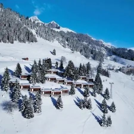 Leysin Lodge * レイサン
