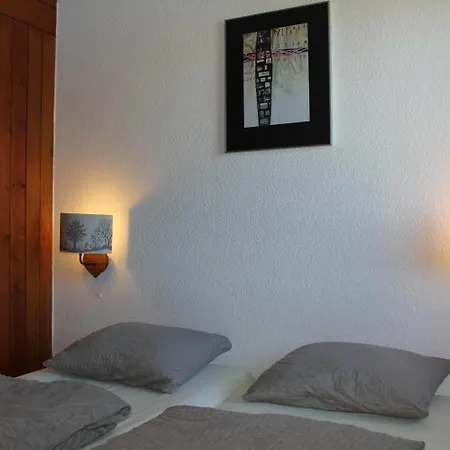 アパート Leysin Lodge レイサン