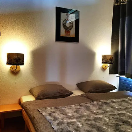 アパート Leysin Lodge レイサン