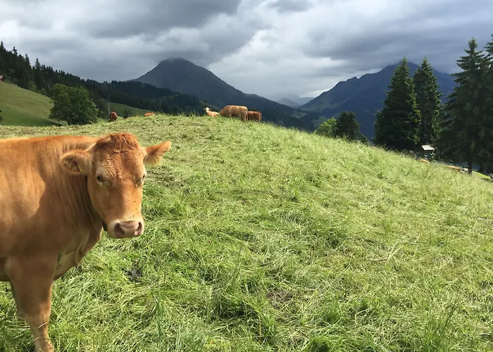 Apartment Leysin Lodge *