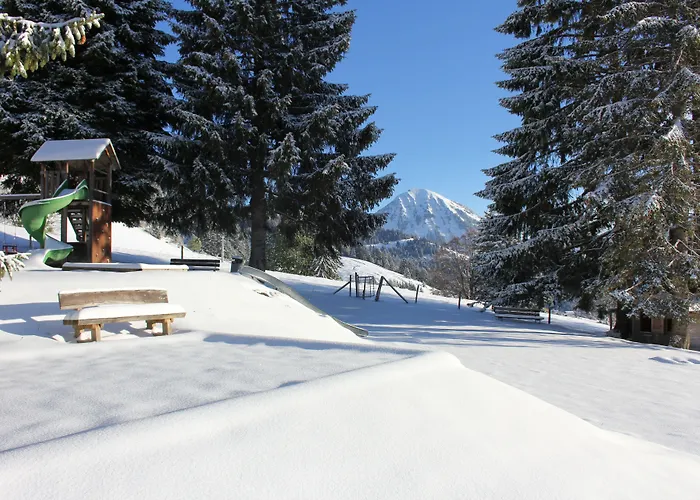 Leysin Lodge