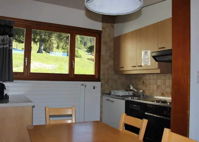 Leysin Lodge Apartment *