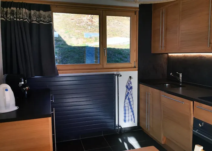 公寓 莱森旅舍 *